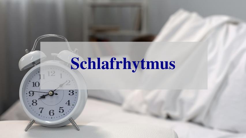 Schlafrhythmus